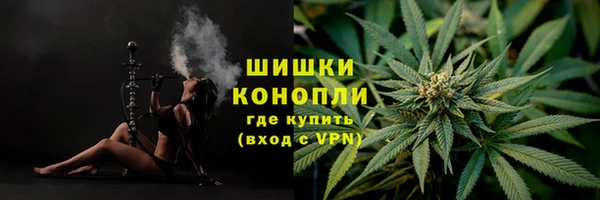 шишки Козловка
