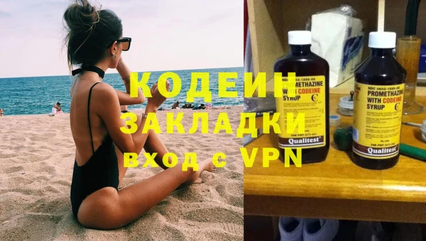 шишки Козловка