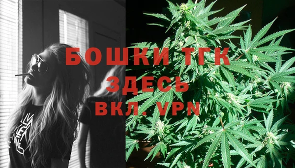 шишки Козловка