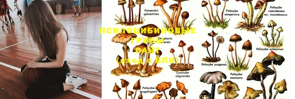 кристаллы Кодинск
