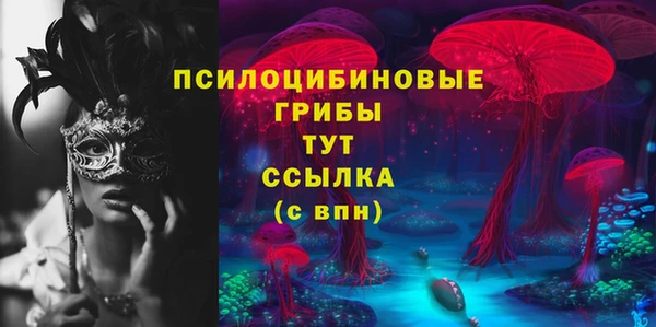 шишки Козловка
