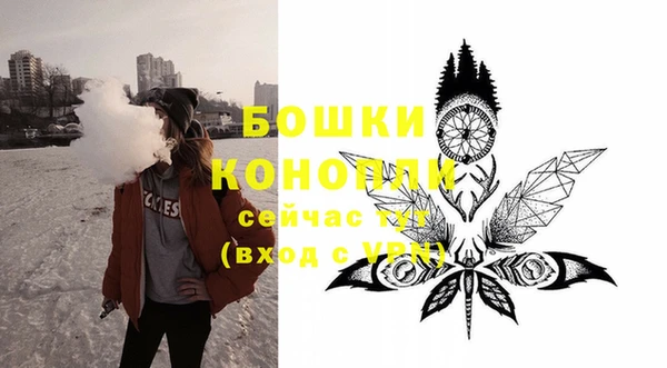 сатива Кинешма