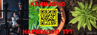 прущие крисы Абакан