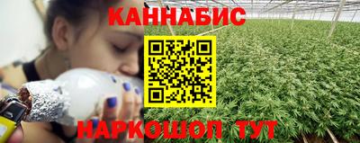 прущие крисы Абакан