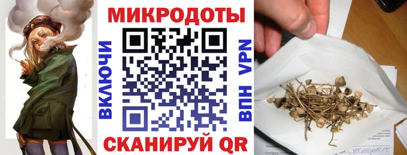 Галлюциногенные грибы прущие грибы  Сланцы 