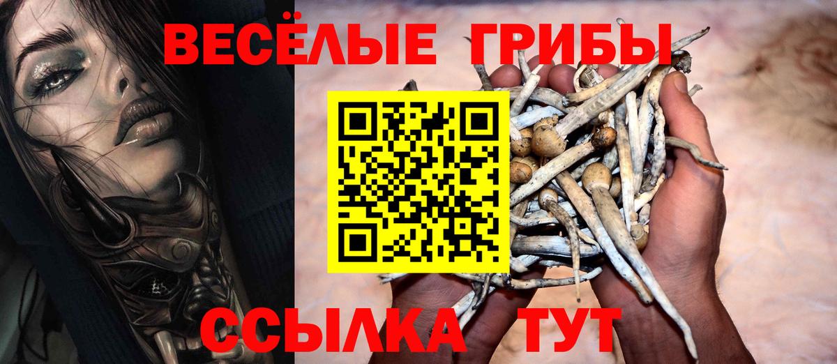 наркошоп  Псилоцибиновые грибы прущие грибы  Псилоцибиновые грибы Psilocybe  Вход с VPN  Сланцы 