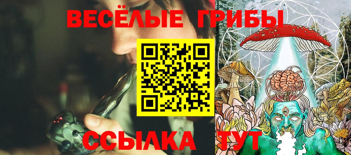 Псилоцибиновые грибы мицелий  Вход с VPN  Сланцы  Галлюциногенные грибы GOLDEN TEACHER 