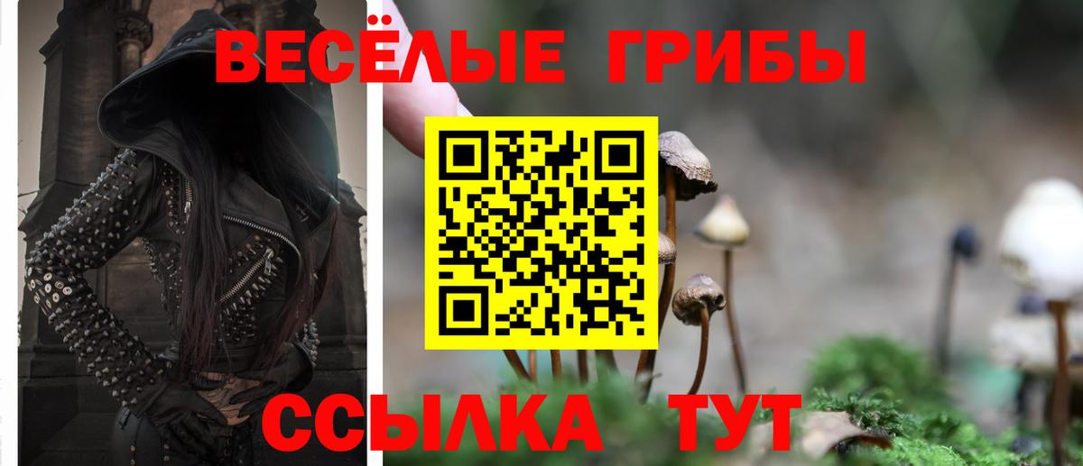 Галлюциногенные грибы мухоморы Сланцы