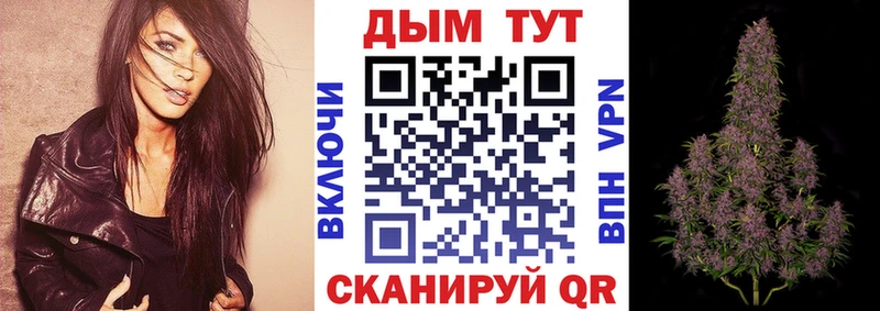 купить наркоту  Сланцы  Канабис гибрид 
